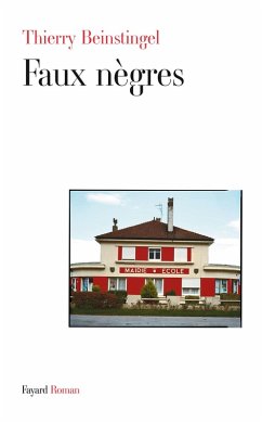 Faux nègres (eBook, ePUB) - Beinstingel, Thierry