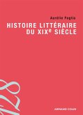 Histoire littéraire du XIXe siècle (eBook, ePUB)