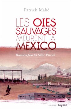 Cover Les oies sauvages meurent à Mexico (eBook, ePUB)