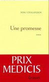 Une promesse (eBook, ePUB)