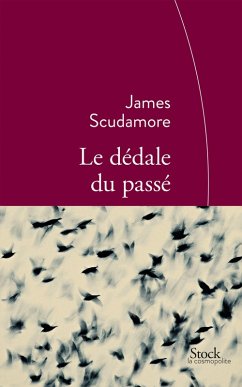 Cover Le dédale du passé (eBook, ePUB)