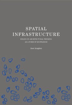 Cover Spatial Infrastructure (eBook, ePUB)