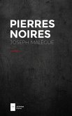 Pierres noires (eBook, ePUB)