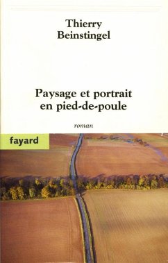 Paysage et portrait en pied-de-poule (eBook, ePUB) - Beinstingel, Thierry