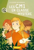 Enquête à l'école - Les CM1 en classe mystère (eBook, ePUB)