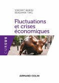 Fluctuations et crises économiques (eBook, ePUB)