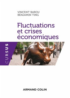 Cover Fluctuations et crises économiques (eBook, ePUB)