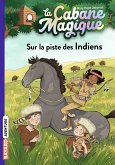 La cabane magique, Tome 17 (eBook, ePUB)