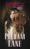 Pelham Lane - Tome 1 (eBook, ePUB)