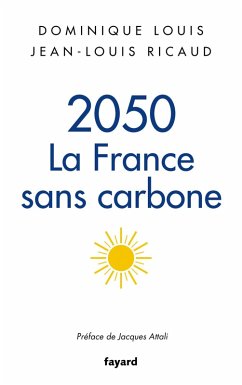 2050, la France sans carbone (eBook, ePUB) - Louis, Dominique; Ricaud, Jean-Louis