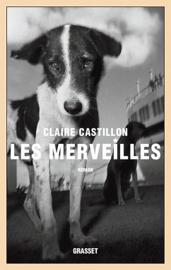 Les merveilles (eBook, ePUB) - Castillon, Claire Les merveilles (eBook, ePUB) - Castillon, Claire