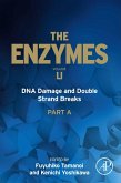 DNA Damage and Double Strand Breaks (eBook, ePUB)