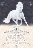 Wolkenherz - Die Spur des weißen Pferdes (eBook, ePUB)
