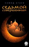 Седьмой Совершенный (eBook, ePUB)