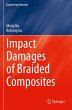 Impact Damages of Braided Composites - Bild 1