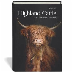 Highland Cattle - Janz, Stephan