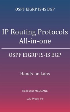 IP Routing Protocols All-in-one (eBook, ePUB) - Meddane, Redouane