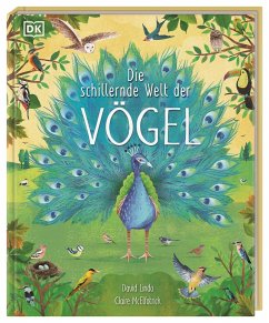 Die schillernde Welt der Vögel - Lindo, David