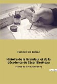 Histoire de la Grandeur et de la décadence de César Birotteau
