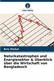 Naturkatastrophen und Energiesektor & Überblick über die Wirtschaft von Bangladesch