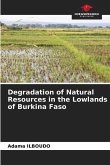 Degradation of Natural Resources in the Lowlands of Burkina Faso
