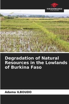 Degradation of Natural Resources in the Lowlands of Burkina Faso - ILBOUDO, Adama