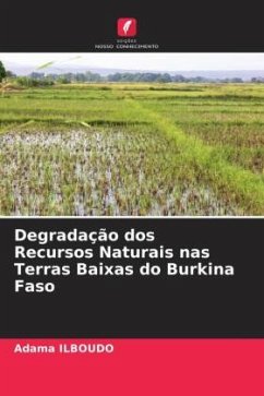 Degradação dos Recursos Naturais nas Terras Baixas do Burkina Faso - ILBOUDO, Adama
