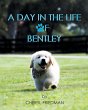 A Day in the Life of Bentley - Bild 1