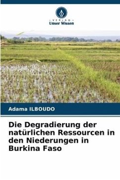 Die Degradierung der natürlichen Ressourcen in den Niederungen in Burkina Faso - ILBOUDO, Adama