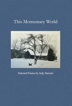 This Momentary World (eBook, ePUB) - Stewart, Jody