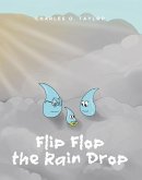 Flip Flop the Rain Drop (eBook, ePUB)