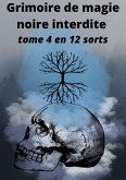 Grimoire de magie noire interdite (eBook, ePUB) Grimoire de magie noire interdite (eBook, ePUB)