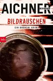 Bildrauschen / David Bronski Bd.4