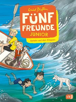 Gefahr auf den Klippen / Fünf Freunde Junior Bd.9 - Blyton, Enid