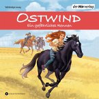 Ein gefährliches Rennen / Ostwind Abenteuerreihe Bd.5 (3 Audio-CDs)