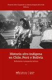 Historia afro-indígena en Chile, Perú y Bolivia (eBook, ePUB)