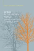 Spirits in the Material World (eBook, ePUB)