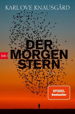 Der Morgenstern / Der Morgenstern-Zyklus Bd.1 - Knausgard, Karl Ove
