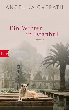 Ein Winter in Istanbul - Overath, Angelika