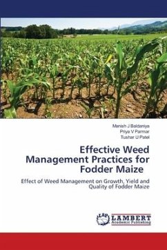 Effective Weed Management Practices for Fodder Maize