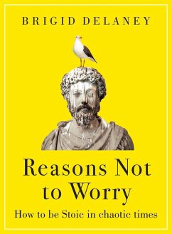 Reasons Not to Worry - Delaney, Brigid