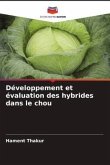 Développement et évaluation des hybrides dans le chou