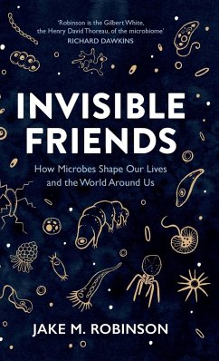 Invisible Friends - Robinson, Jake