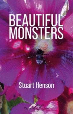 Beautiful Monsters - Henson, Stuart