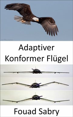 Adaptiver Konformer Flügel (eBook, ePUB) - Sabry, Fouad