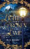 Light from a Broken Lamp (eBook, ePUB)