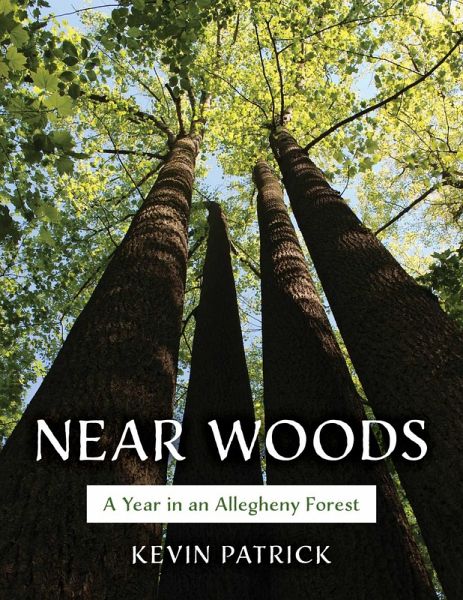 Near Woods (eBook, ePUB)
