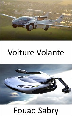 Voiture Volante (eBook, ePUB) - Sabry, Fouad