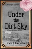 Under the Dirt Sky (eBook, ePUB)