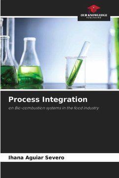 Process Integration - Aguiar Severo, Ihana